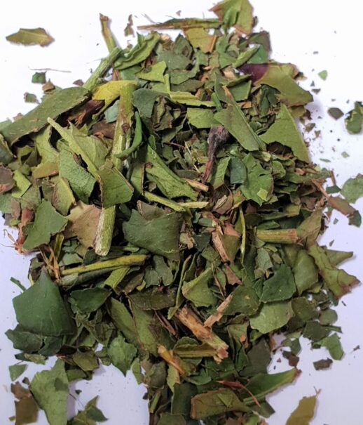 Tasmanian White Tea