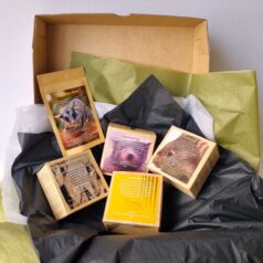 Gift box 4 Tas wildlife teas and a sample